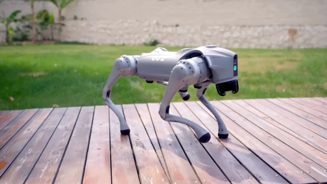 Robot Dog Go2_Quadruped_Robot Dog Company | Unitree Robotics