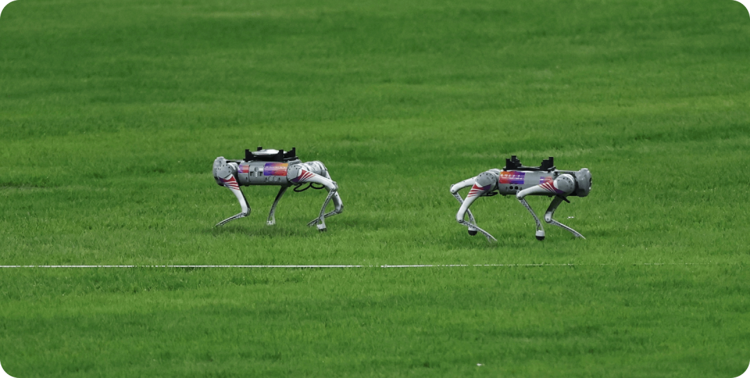 Robot Dog Go2_Quadruped_Robot Dog Company | Unitree Robotics